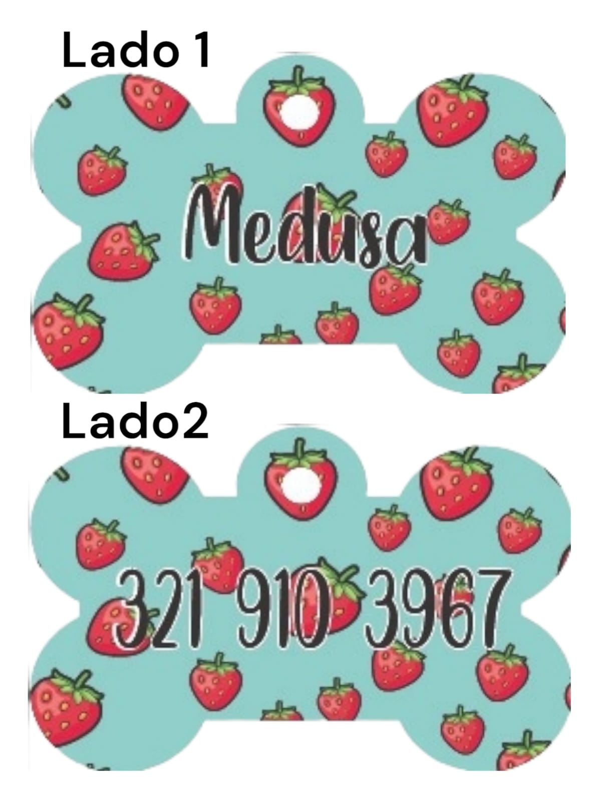 Placas de Identificación Diseño Tropical