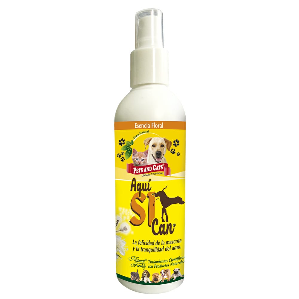 Aquí Sí Can x 240ml