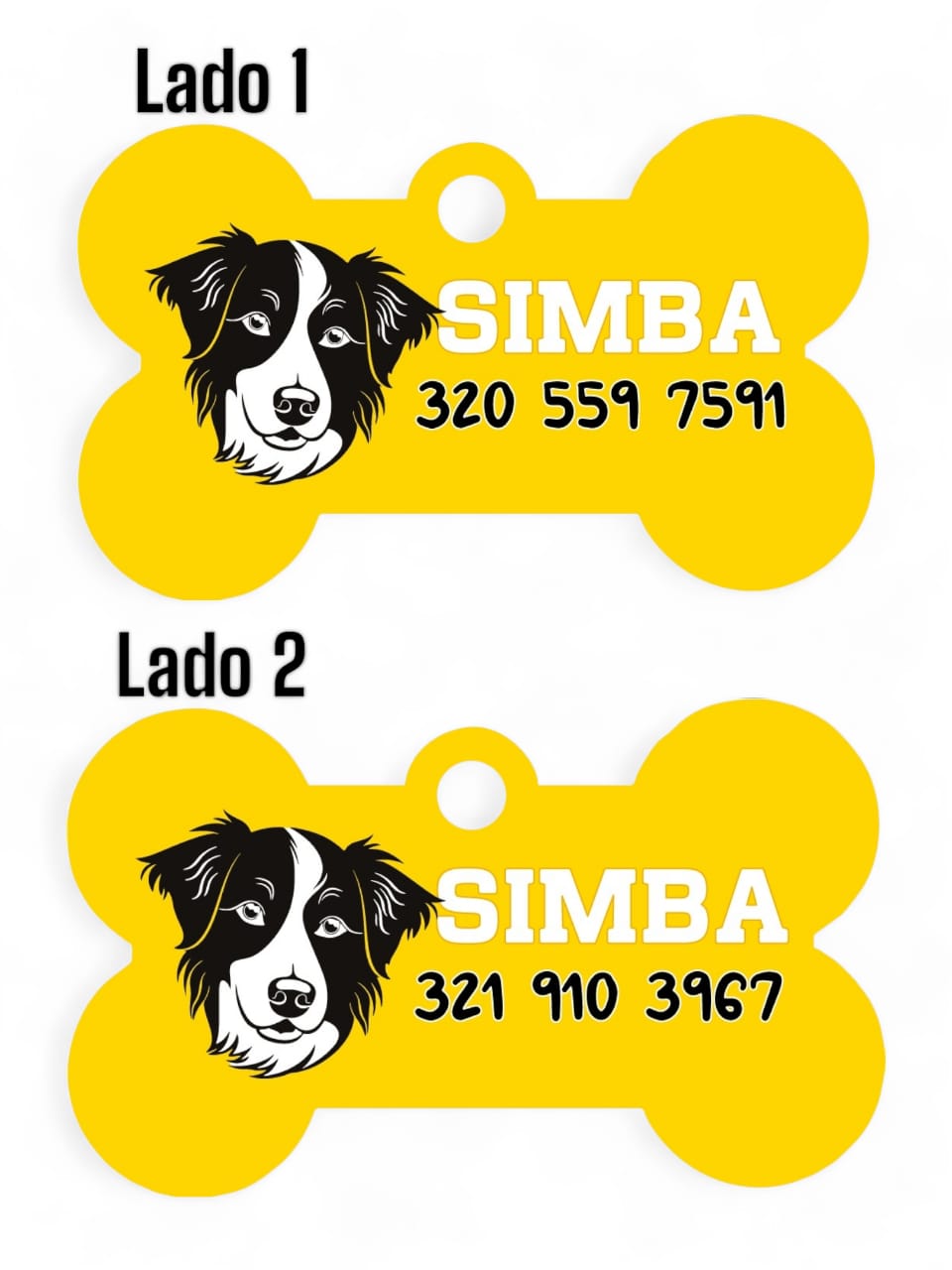 Placas de Identificación Border Collie