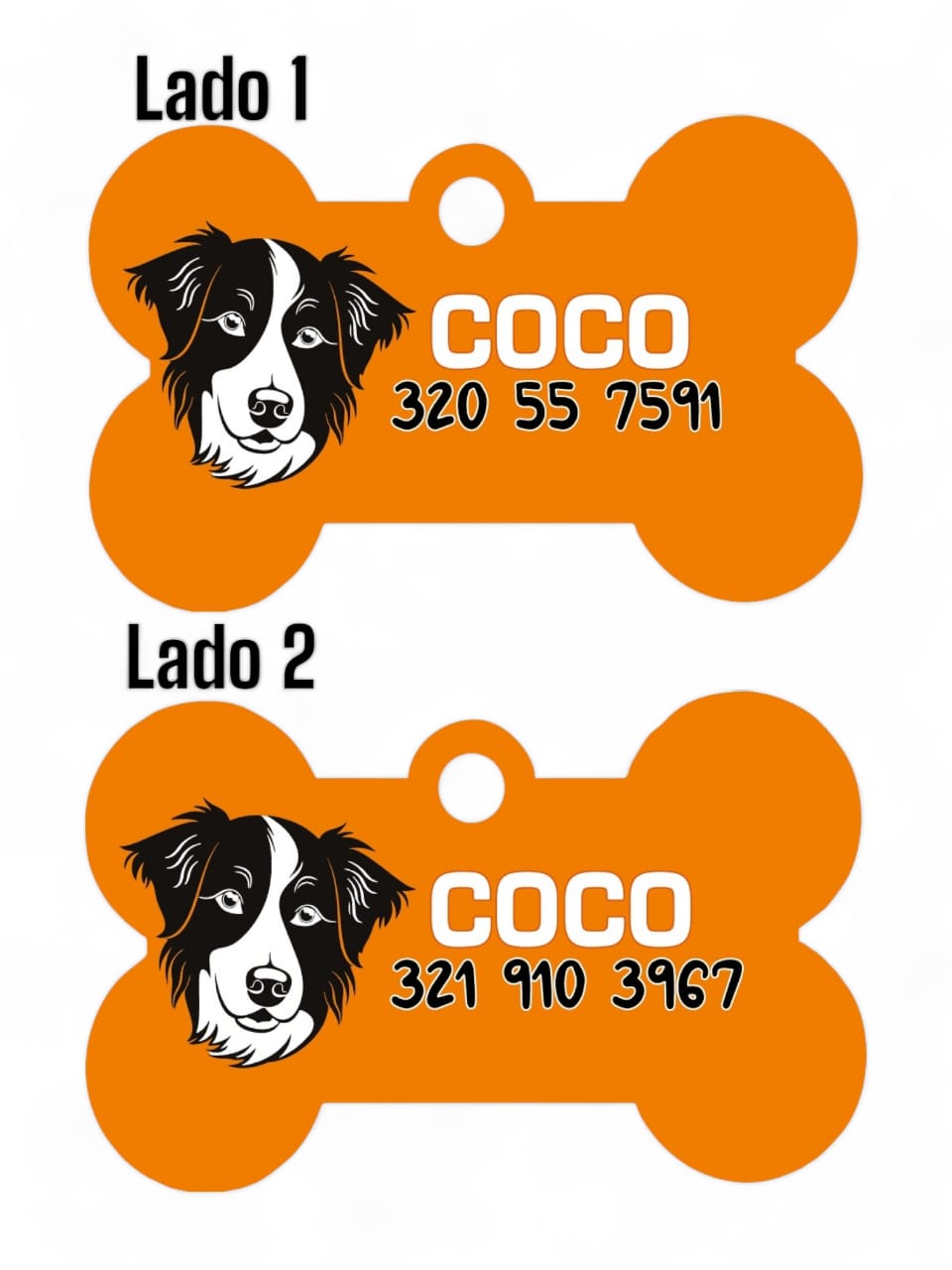 Placas de Identificación Border Collie