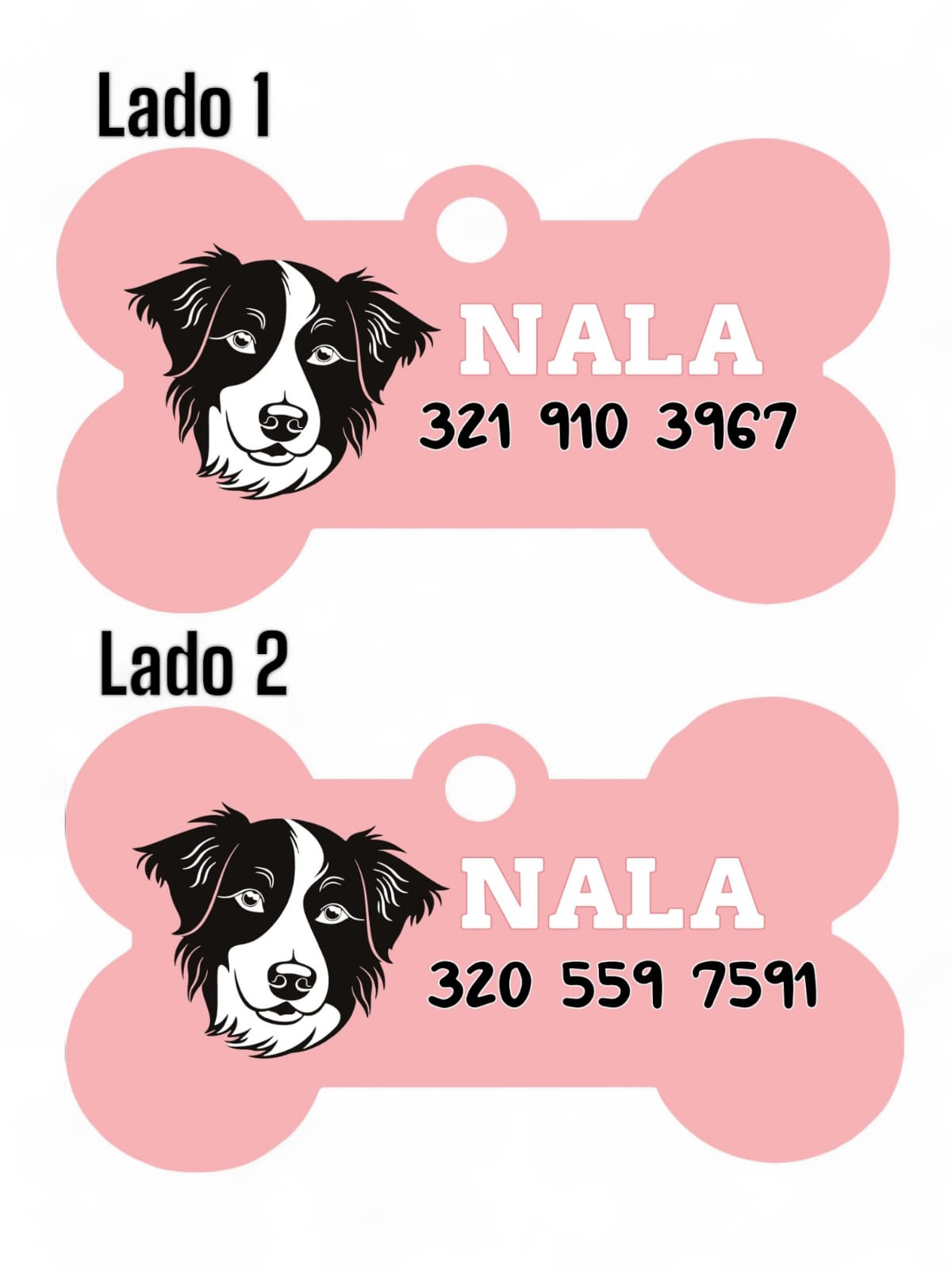 Placas de Identificación Border Collie