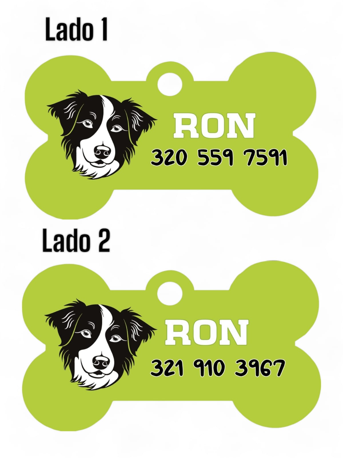 Placas de Identificación Border Collie