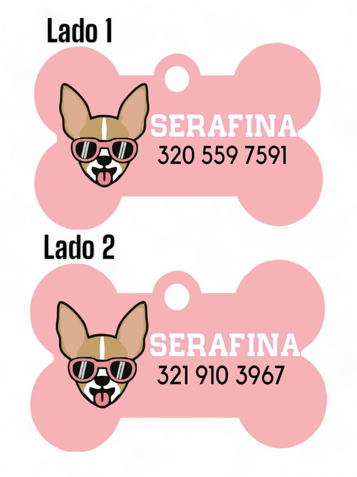 Placas de Identificación Chihuahua