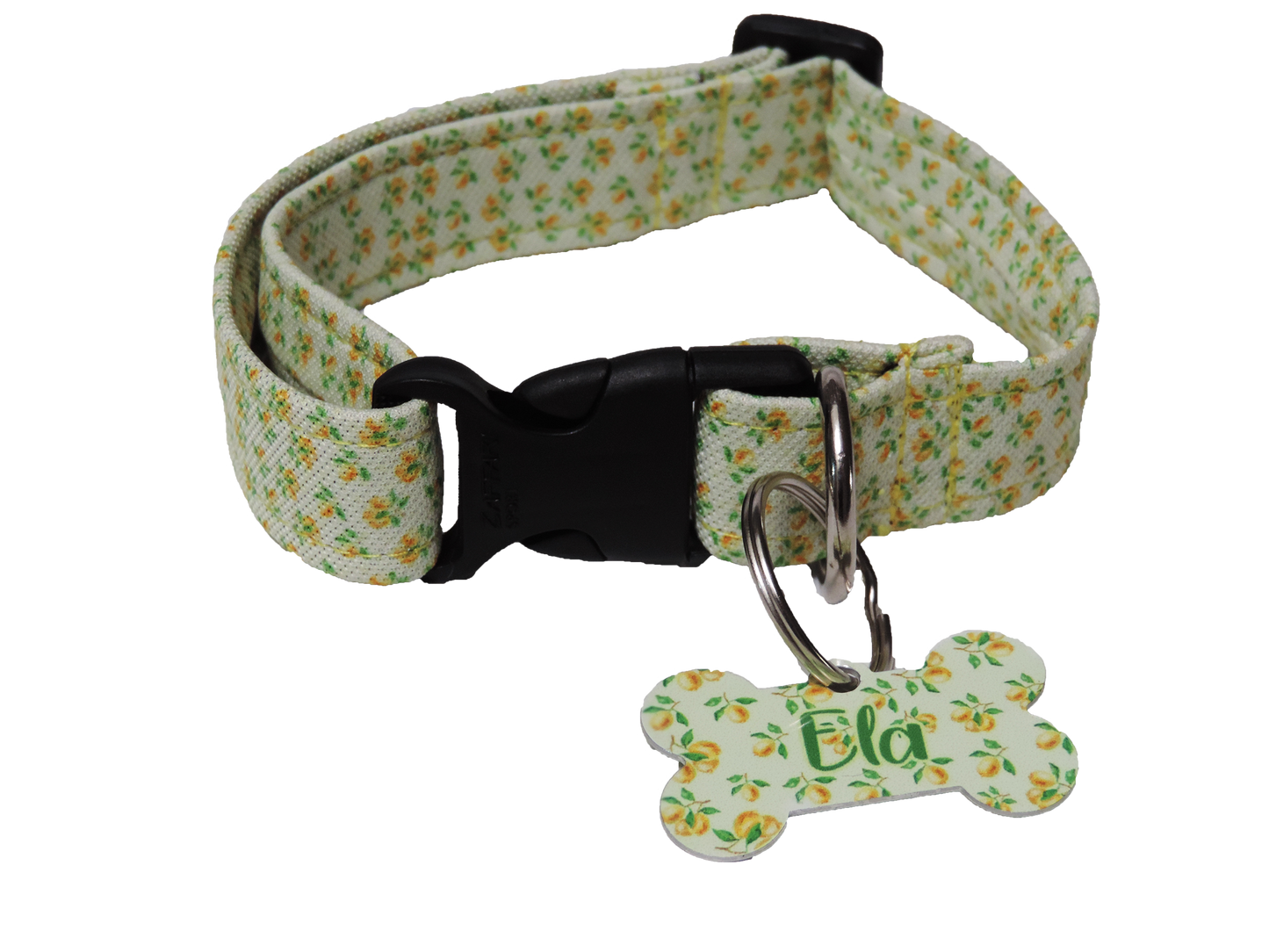 Placa Identificadora + Collar portaplaca Piñas Celeste