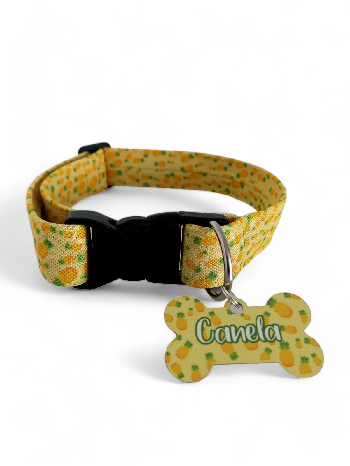 Placa Identificadora + Collar portaplaca Sandías Rosada