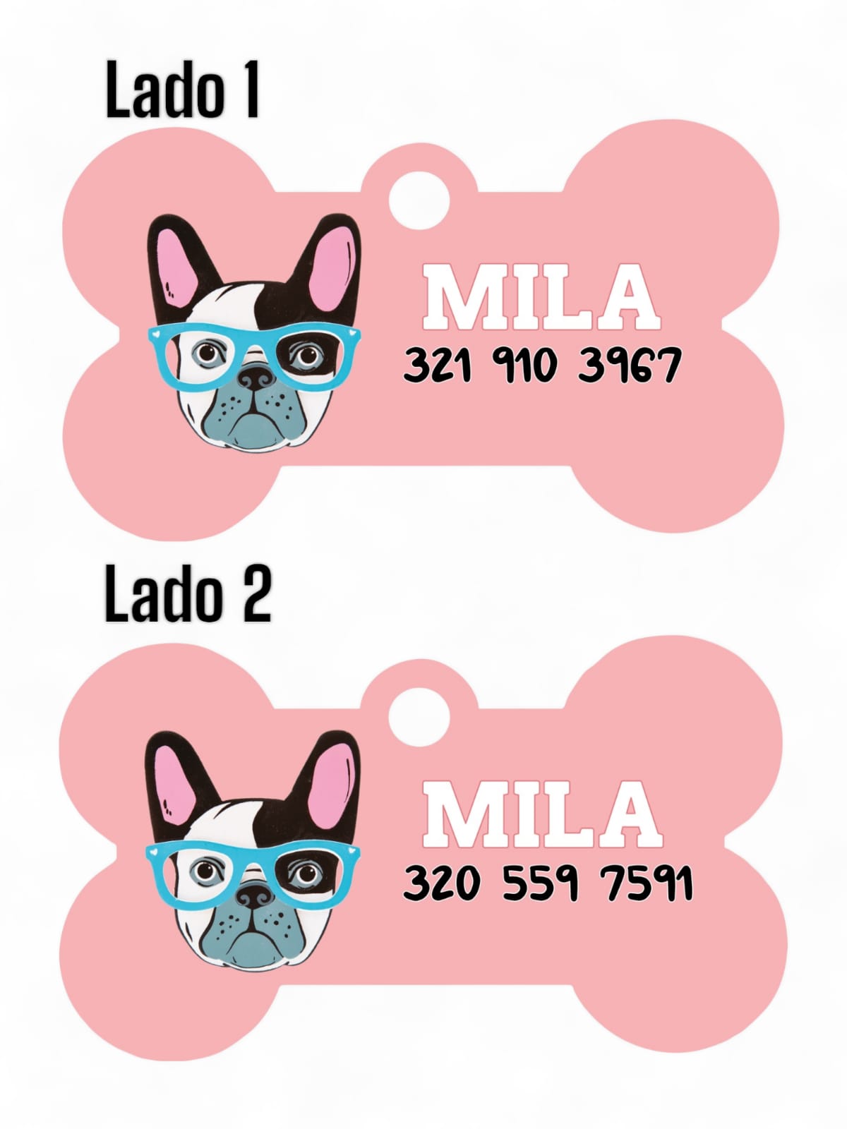 Placas de Identificación Bulldog Francés