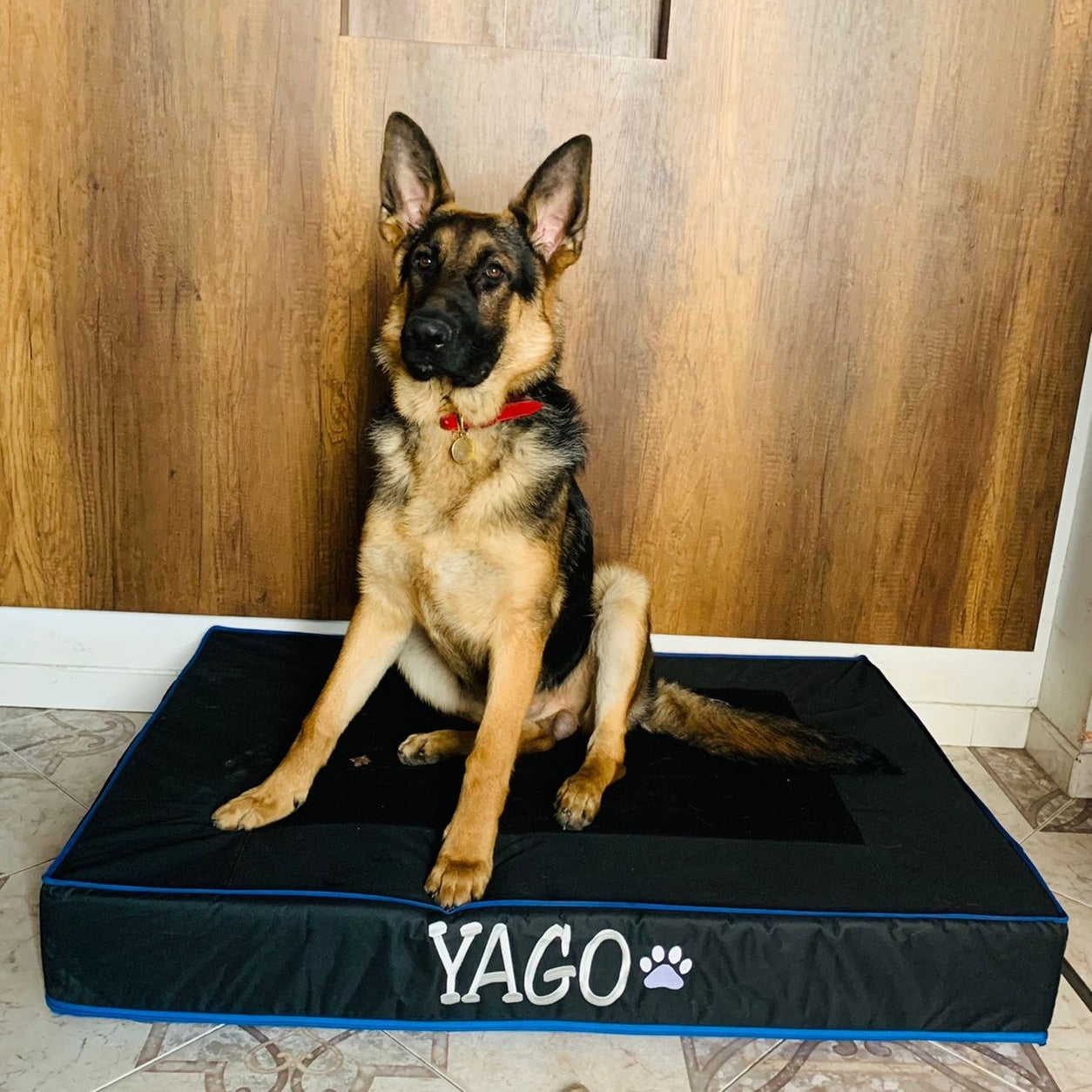 Colchoneta Para Perros Grandes REF 15.0 Personalizada