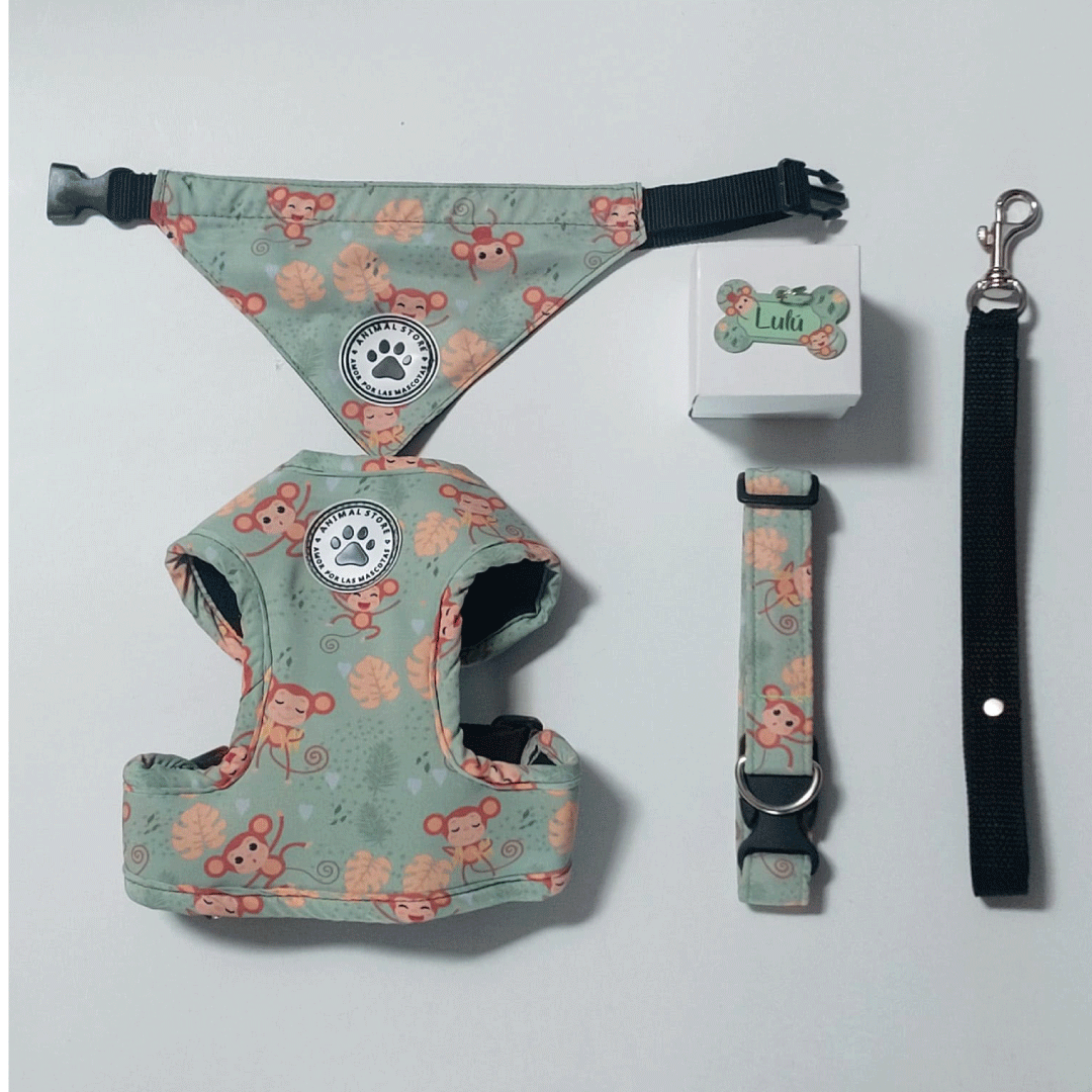 Outfit Zoo