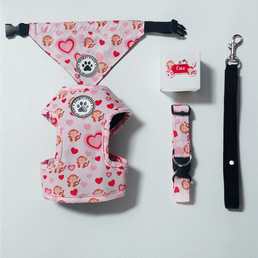Outfit Zoo