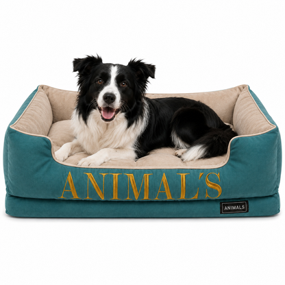 Cama Premium Personalizada Para Perros + GRATIS ACCESORIO