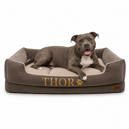 Cama Premium Personalizada Para Perros + GRATIS ACCESORIO