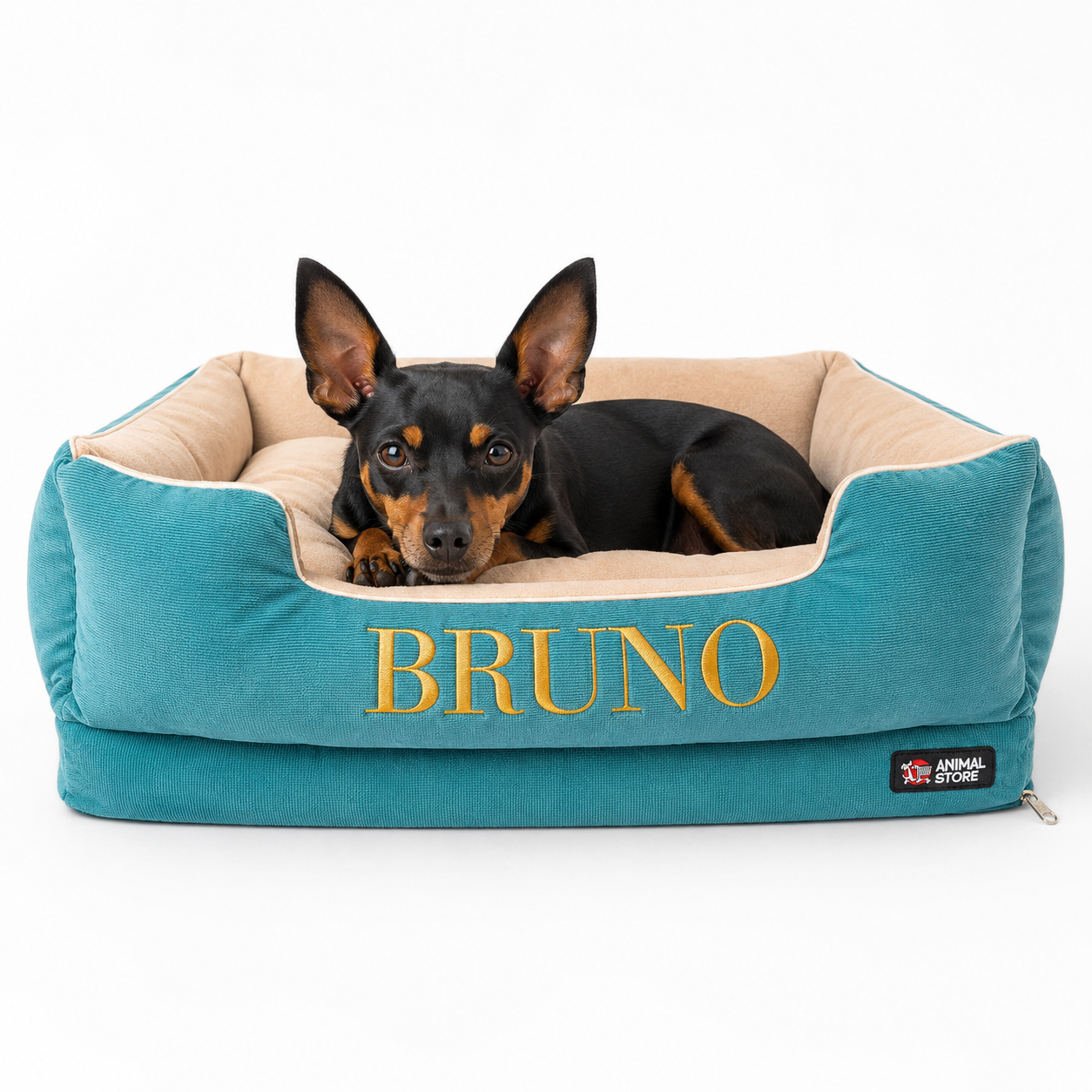 Cama Para Perros Pequeños a Grandes Personalizada