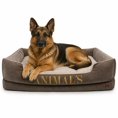 Cama Premium Personalizada Para Perros + GRATIS ACCESORIO