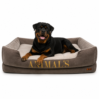 Cama Premium Personalizada Para Perros + GRATIS ACCESORIO