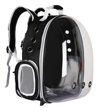 Maleta Transportadora Transparente para Gatos Color Azul