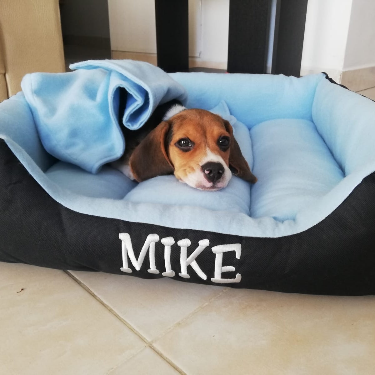 Cama para best sale perro personalizada